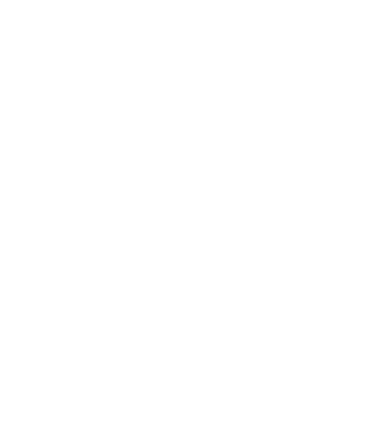 Doors Drawing
