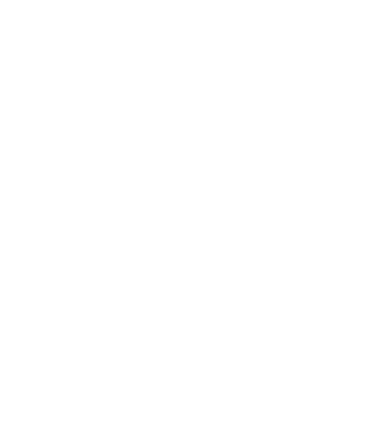 Doors Drawing